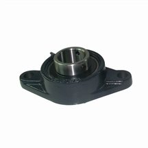 Flange pilotate